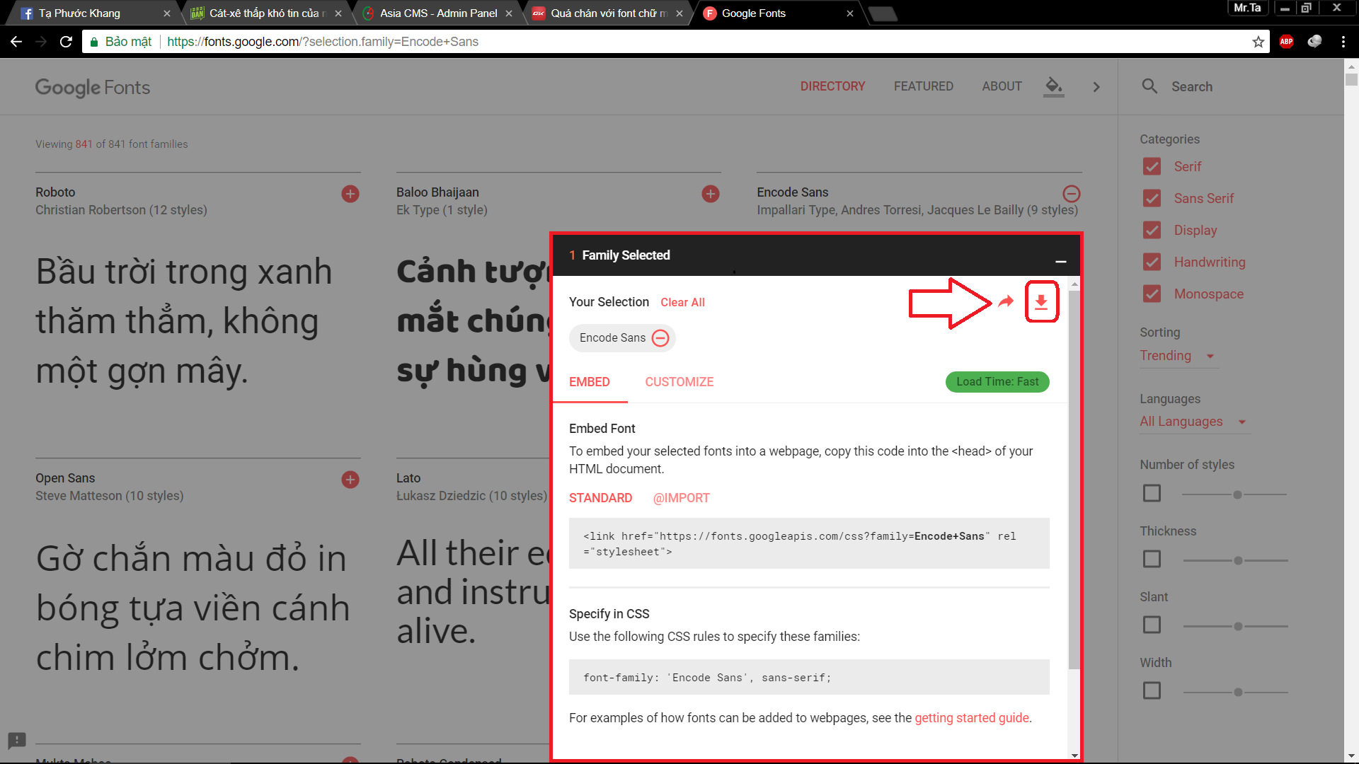 Chọn font để tải xuống máy tính